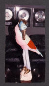 Clay Sculpture of Fantastical Bird, hundreds of handmade feathers